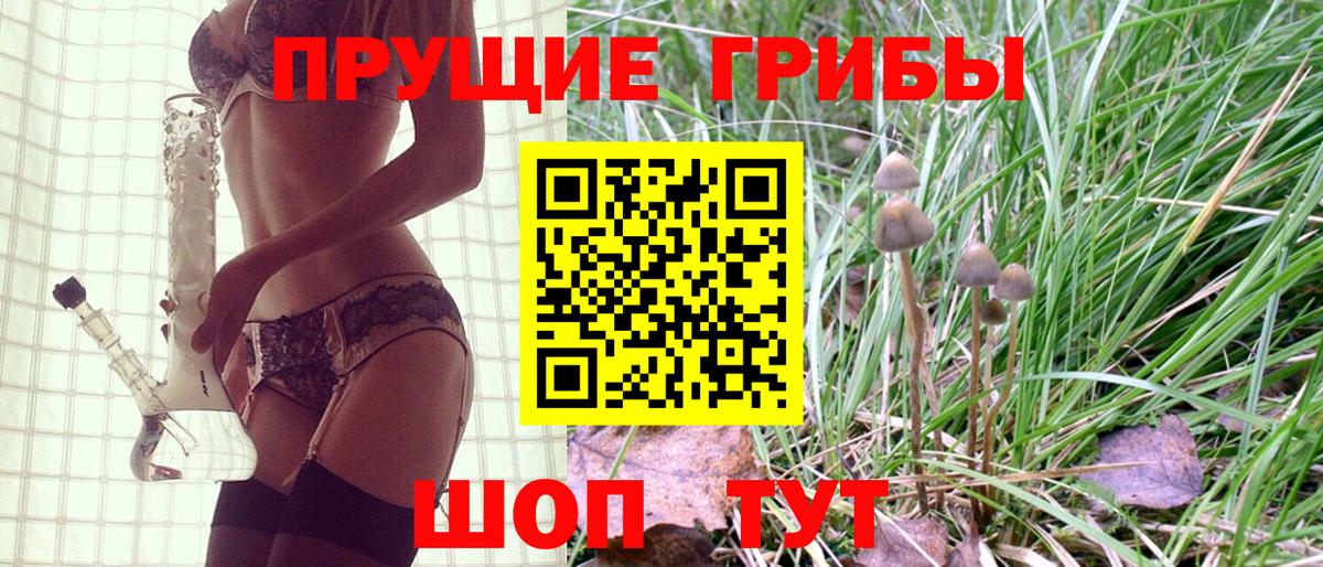 Псилоцибиновые грибы MAGIC MUSHROOMS Жигулёвск