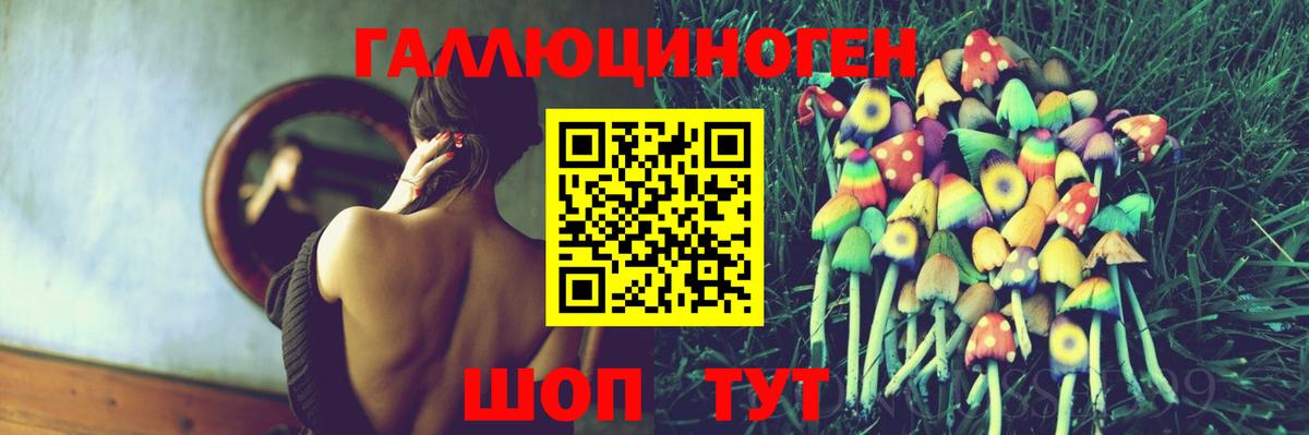 Жигулёвск  Псилоцибиновые грибы прущие грибы  Вход с VPN  Псилоцибиновые грибы GOLDEN TEACHER 